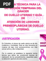 Cancer Cuello Uterino y Neoplasias Res.412