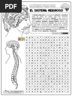 01 El Sistema Nervioso PDF