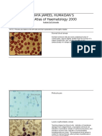 Color Atlas of Haematology 2000