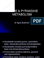 Purine & Pyrimidine Metabolism