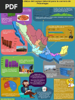 Infografía. Algunos Datos Del Campo Laboral para La Carrera de Psicología