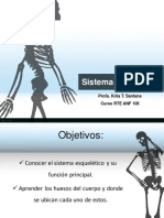 Sistema Esqueletal Anf106 PDF