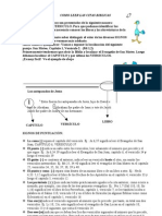 Como Leer Las Citas Biblicas