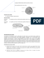 Guía de Apoyo Estructura de Los Seres Vivos