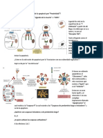 Cómo Se Da La Activación de La Apoptosis Por