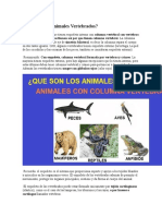 Animales Vertebrados