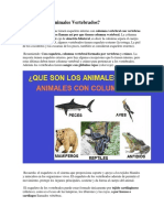 Animales Vertebrados