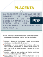 La Placenta