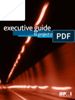 Pmi Executive Guide PDF