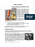 La Celula T.practico N 3 para 2 Eso PDF