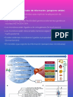 Bioenergetica Niños PDF