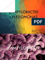 Campylobacter & Plesiomonas - Bacter Report