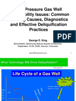 Deliquification PDF