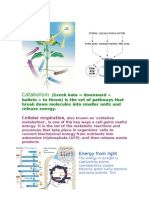 Catabolism: Ballein To Throw) Is The Set of Pathways That Break Down Molecules Into Smaller Units and Release Energy