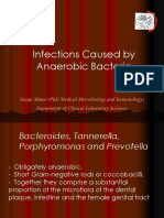 Anaerobic Bacteria