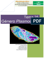 Plasmodium