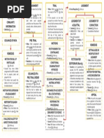 Criminal Procedure - Flowchart (Main)