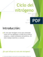 Ciclo Del Nitrógeno