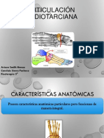 Articulación Mediotarciana