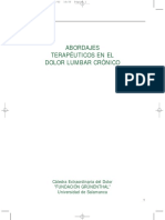 Abordajes Terapéuticos en El Dolor Lumbar Crónico PDF