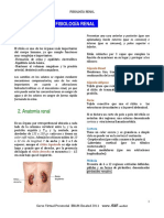 Fisiología Renal 