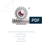 Ensayo Del Proceso de Preparación y Evaluación de Proyectos