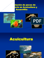 Alimentación de Peces de Importancia en Acuicultura y Acuarofilia