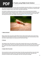 12 Bahaya Malaria Tropika Yang Wajib Anda Ketahui PDF