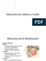 Músculos de Cabeza y Cuello