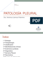 2da Semana 3ra Sesion - Patología Pleural - Dra. Llamoca PDF