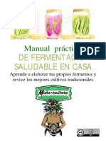 Manual-Práctico Kombucha PDF