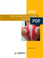 Atlas Anatomia Palpatória PDF