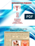 Exposición de Morfofisiologia Aparato Reproductor Femenino 