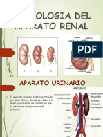 Semiologia Del Aparato Renal