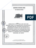 004 - Directiva - General - 2013 GRJ PDF