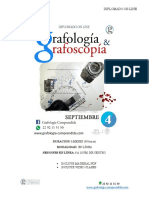 Temario Diplomado Grafoscopia y Grafología Semptiembre 4