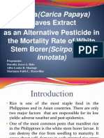 Papaya (Carica Papaya) Leaves Extract As An Alternative Pesticide in The Mortality Rate of White Stem Borer (Scirpophaga