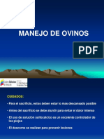 Manejo de Ovinos