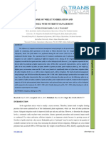 Response of Wheat To Irrigation and Hydrogel With Nutrient Management