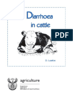 Diarrhoea Cattle