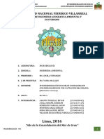 Fitorremediacion Girasol Microbiologia Final