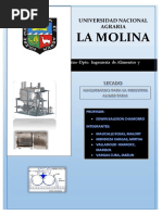 Secado Informe