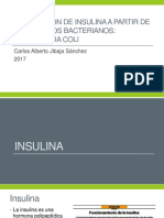 Producción de Insulina A Partir de Organismos Bacterianos