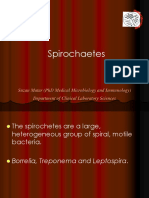 Spirochetes