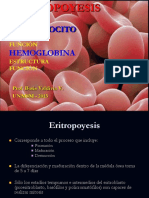 Eritrocito Estructura y Metabolismo 2015