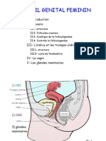 Cours Histologie Appareil Génital Féminin PDF