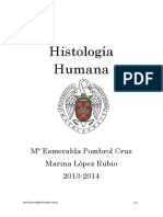 Apuntes Histología M Esmeralda