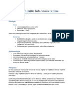 Traqueobronquitis Infecciosa Canina