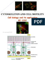 Cytoskeleton and Cell Motility 1