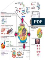 Mapa Mental CELULA